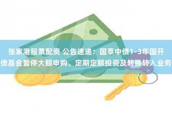 张家港股票配资 公告速递：国泰中债1-3年国开债基金暂停大额申购、定期定额投资及转换转入业务