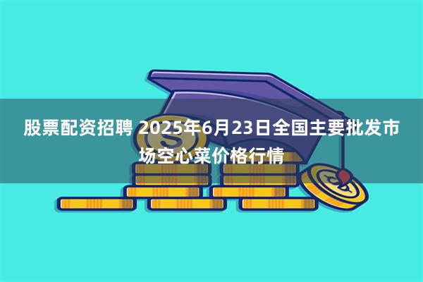 股票配资招聘 2025年6月23日全国主要批发市场空心菜价格行情