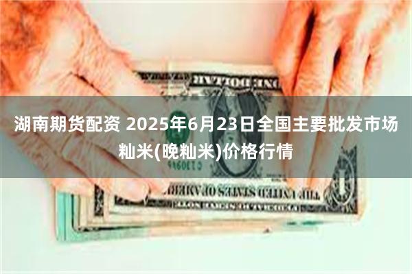 湖南期货配资 2025年6月23日全国主要批发市场籼米(晚籼米)价格行情