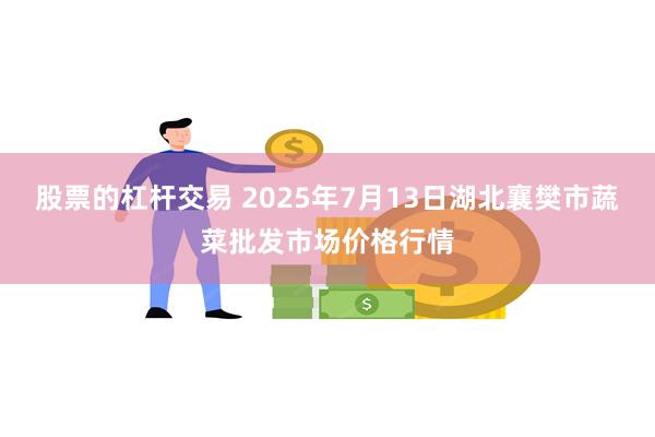 股票的杠杆交易 2025年7月13日湖北襄樊市蔬菜批发市场价格行情