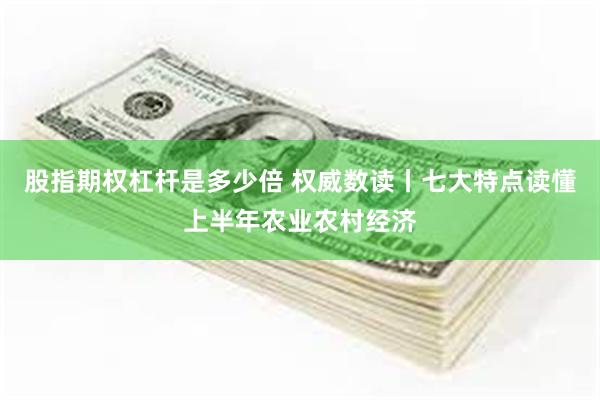 股指期权杠杆是多少倍 权威数读丨七大特点读懂上半年农业农村经济