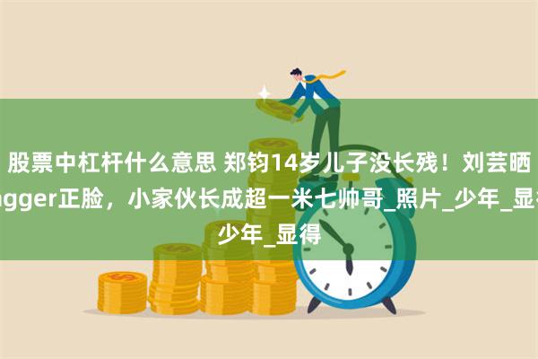 股票中杠杆什么意思 郑钧14岁儿子没长残！刘芸晒Jagger正脸，小家伙长成超一米七帅哥_照片_少年_显得
