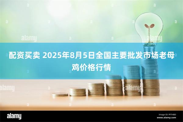 配资买卖 2025年8月5日全国主要批发市场老母鸡价格行情