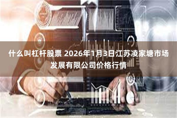 什么叫杠杆股票 2026年1月3日江苏凌家塘市场发展有限公司价格行情